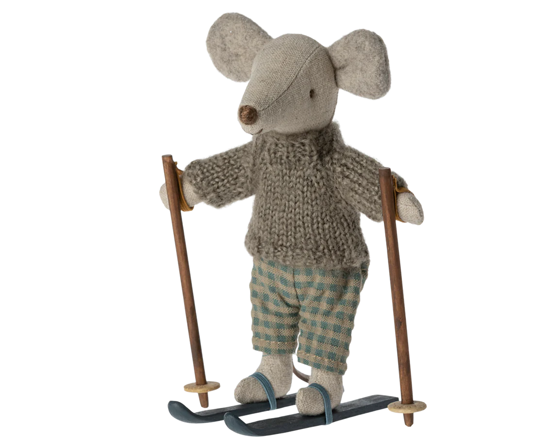 Wintermuis met skiset, Big Brother